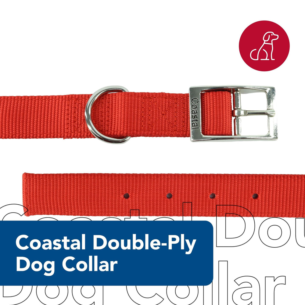 Coastal Double-Ply Dog Collar red D-ring shows easy ID tag and leash attachment.