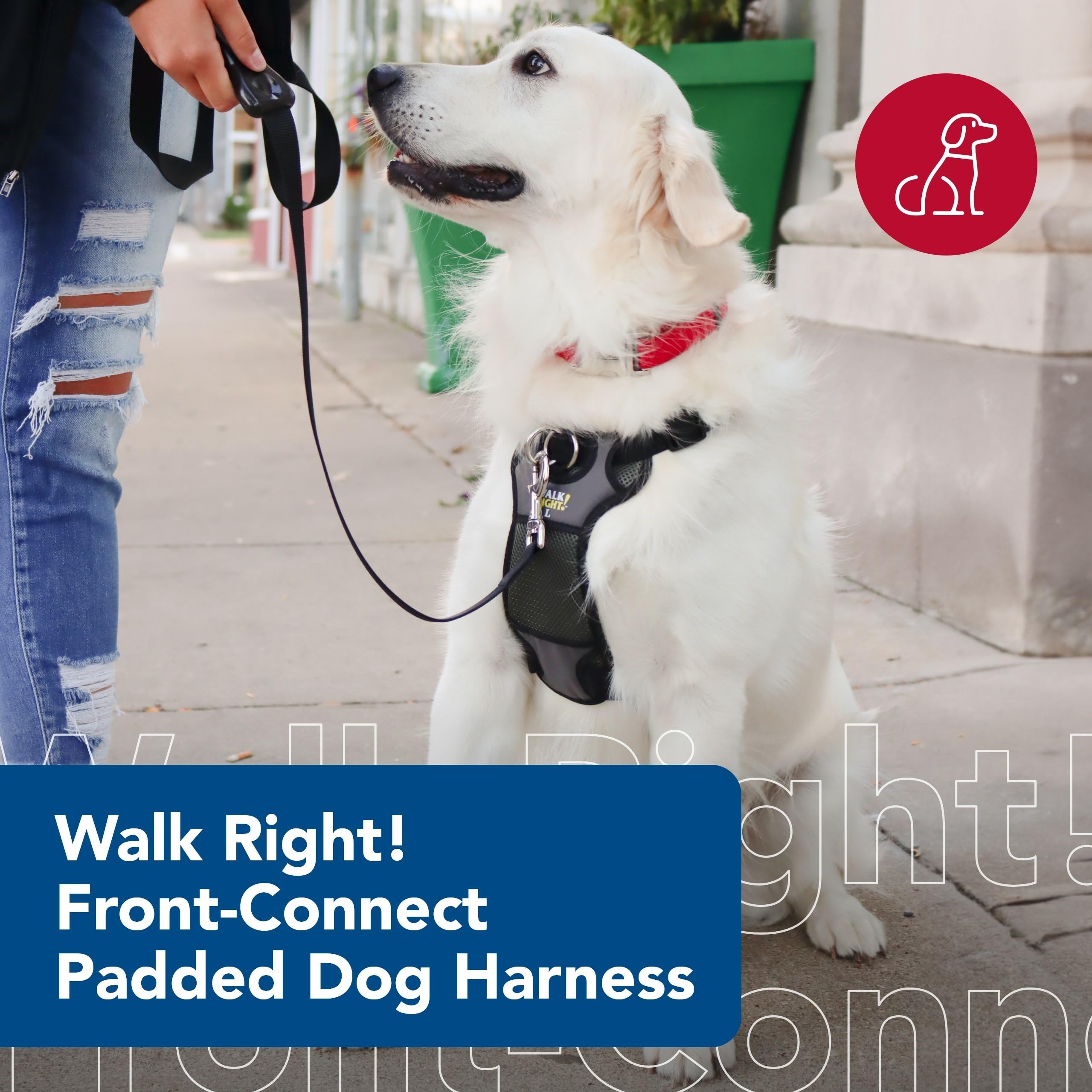Coastal Front-Connection redirection harness on chest supports smoother leash guidance