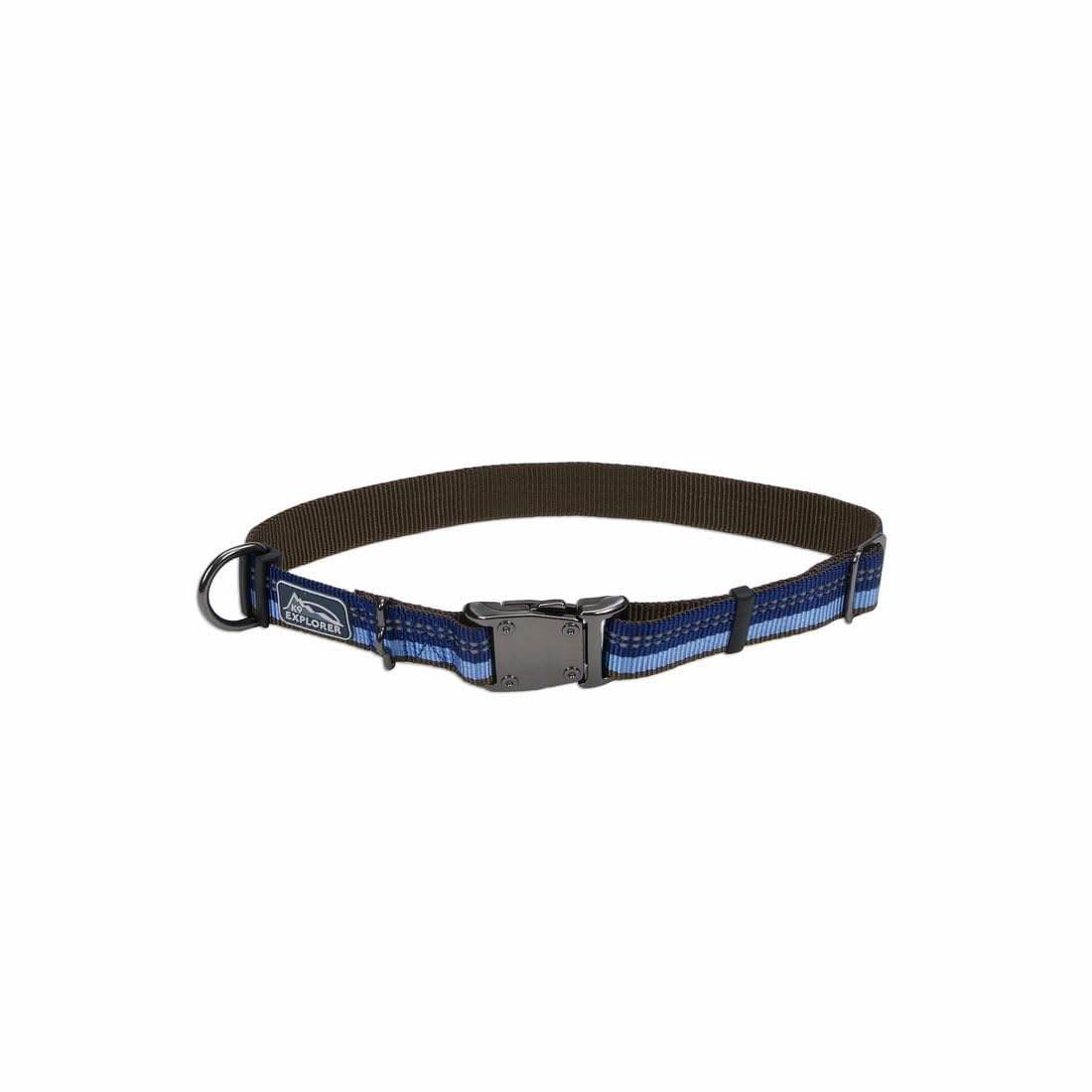 Coastal K9 Explorer sapphire collar on dog boosts outdoor visibility.