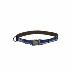Coastal K9 Explorer sapphire collar on dog boosts outdoor visibility.