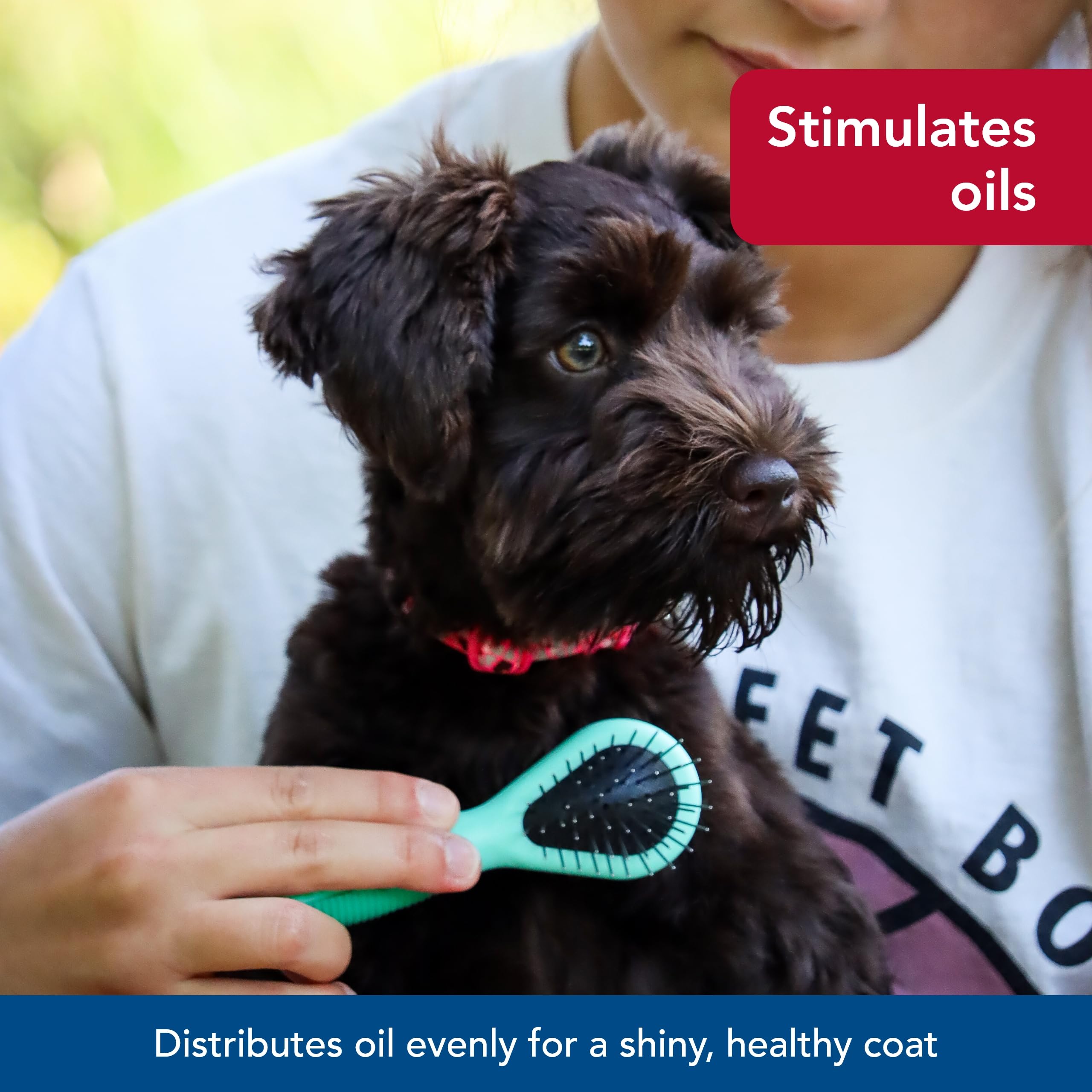 Coastal Li'l Pals Dog Combo Brush easy-grip handle for comfortable owner use.
