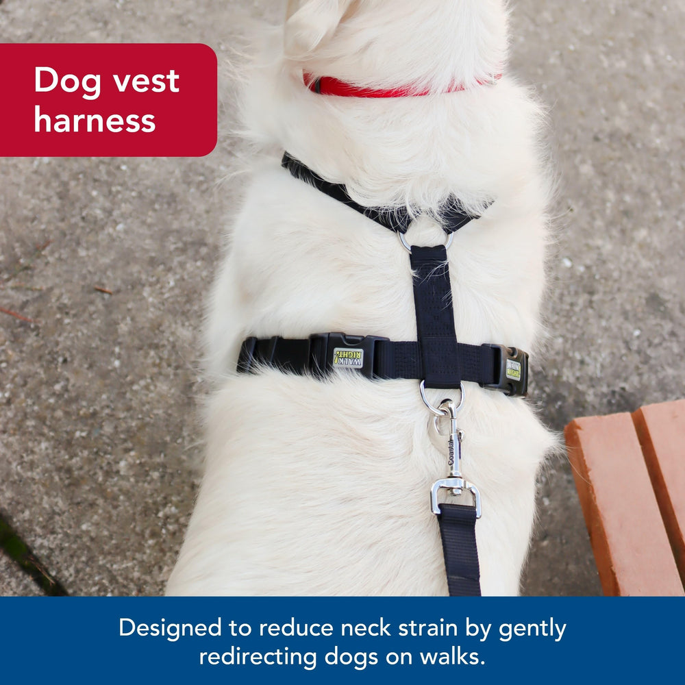 Coastal Padded-overhead harness demonstrates easy on-off and comfortable everyday wear