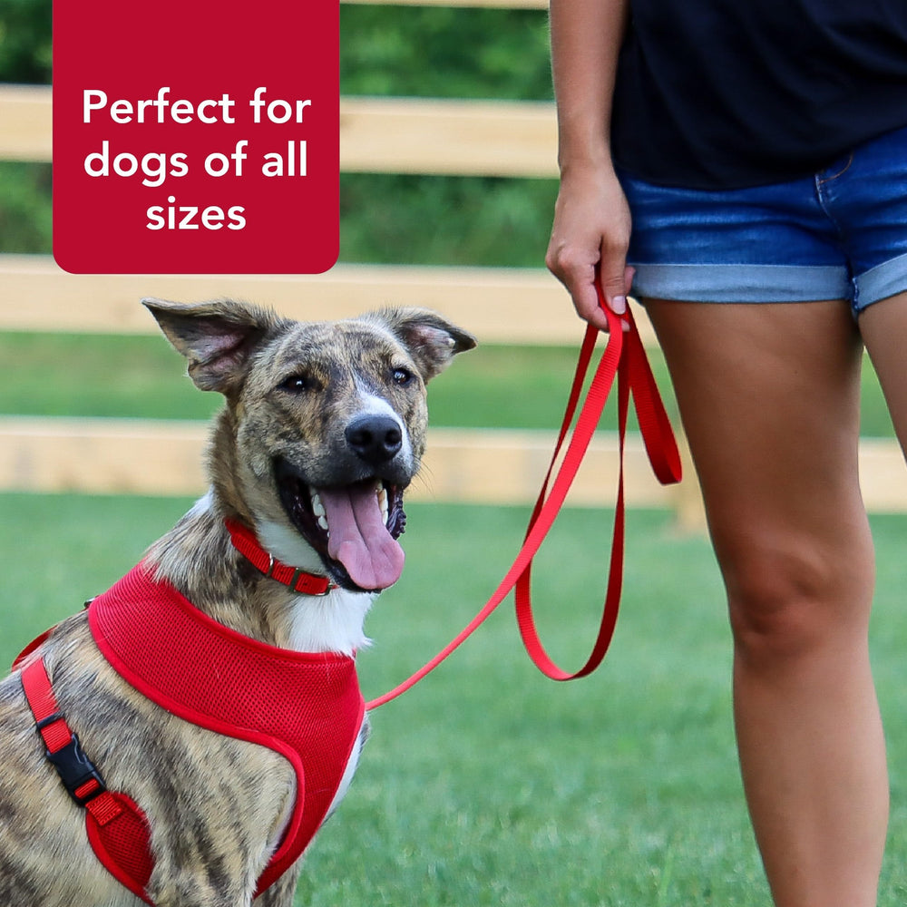Coastal Pet leash pink flamingo color swatch emphasizes fade-resistant style on walks