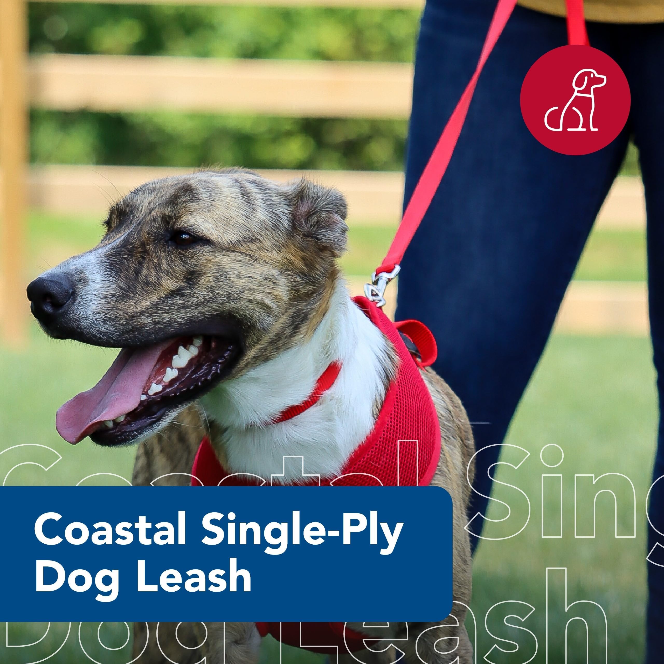 Coastal Pet leash pink flamingo side profile highlights comfortable grip for long strolls