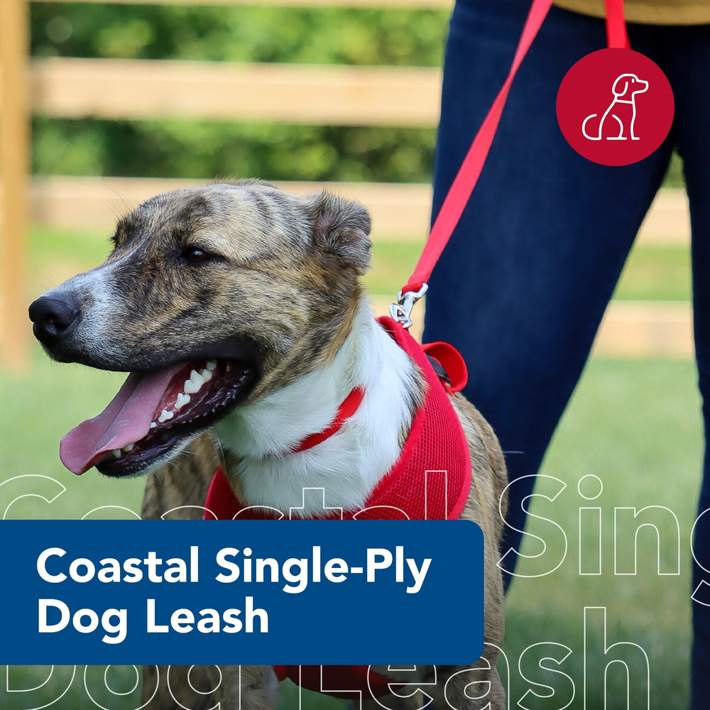 Coastal Pet leash pink flamingo side profile highlights comfortable grip for long strolls