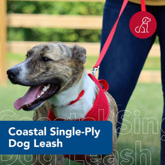 Coastal Pet leash pink flamingo side profile highlights comfortable grip for long strolls