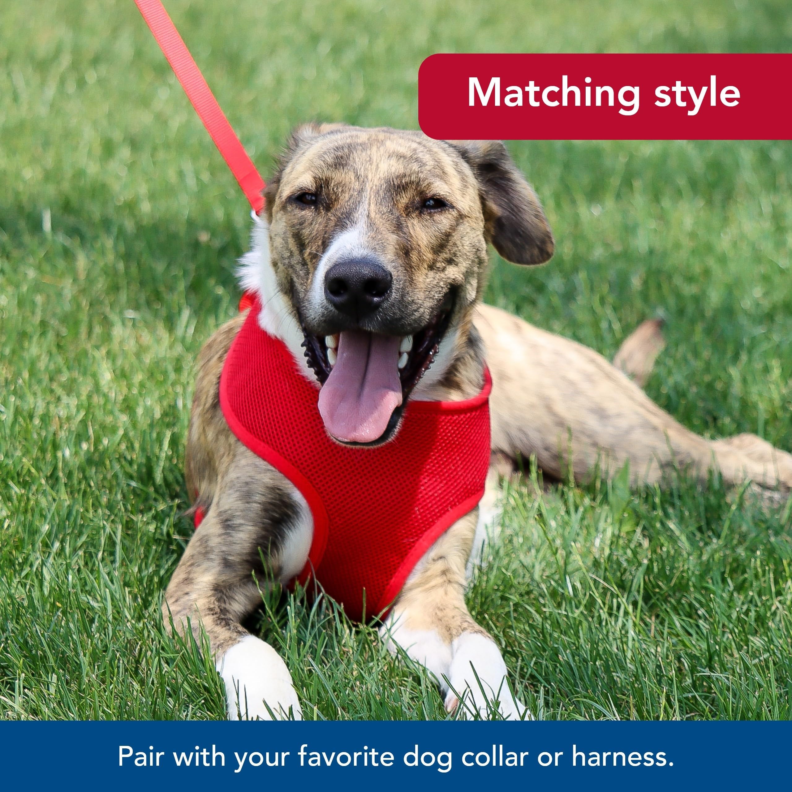 Coastal Pet leash pink flamingo sturdy stitch ensures reliable everyday use