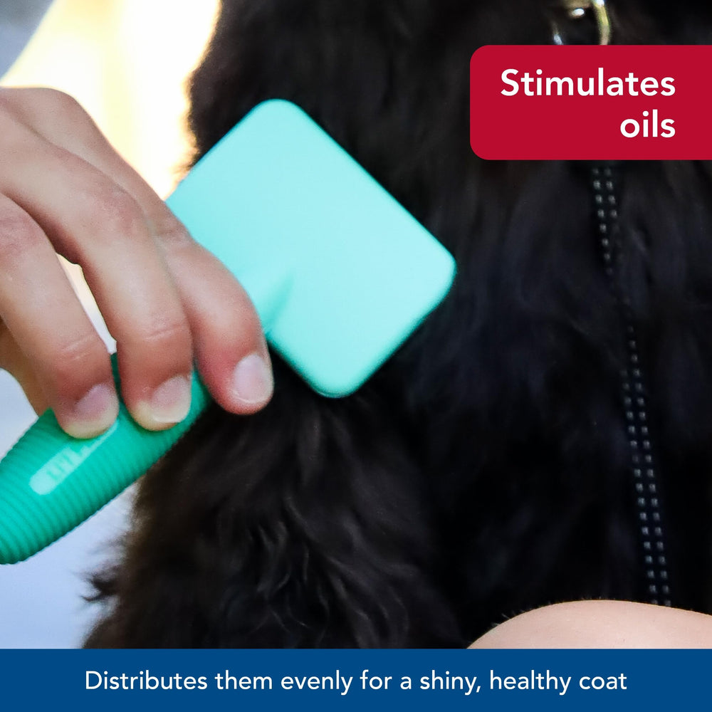 Coastal Pet Li'l Pals slicker brush with detailed wire pins and coated tips for gentle detangling