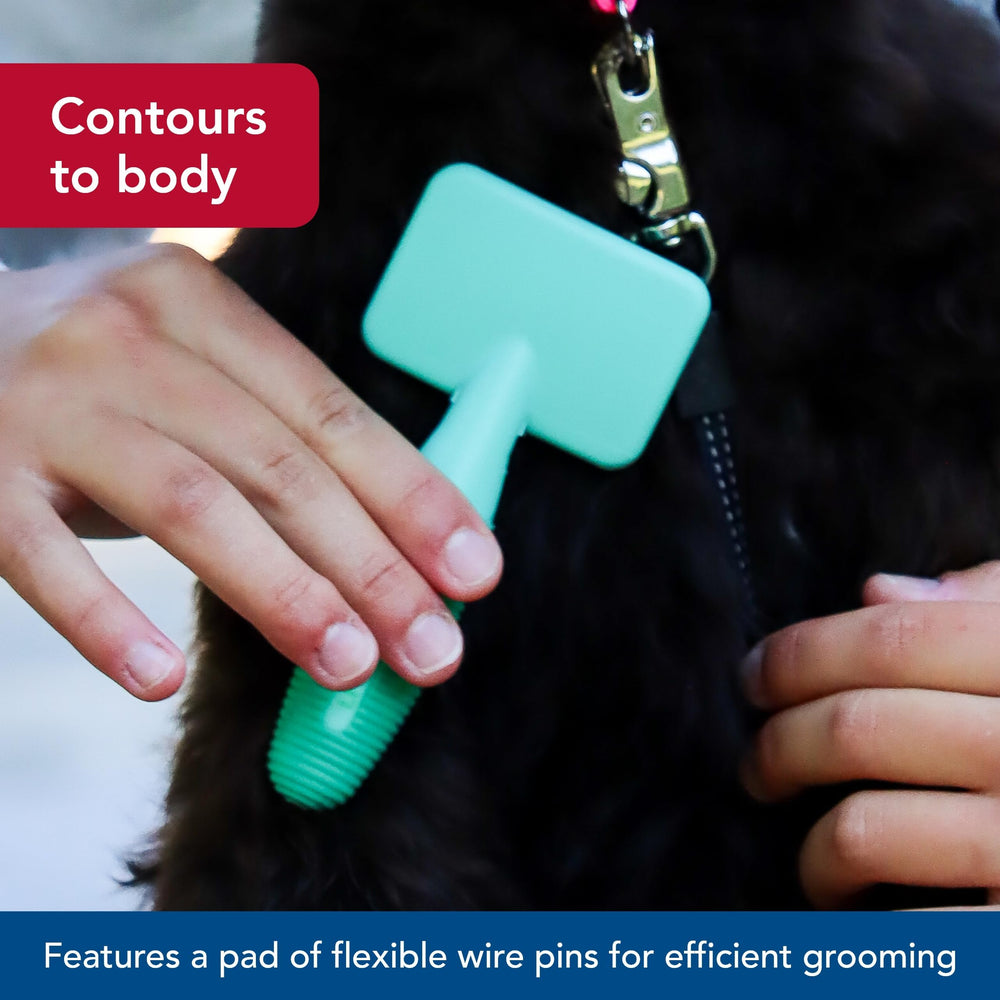 Coastal Pet Li'l Pals slicker brush in use during a calm grooming routine for puppies