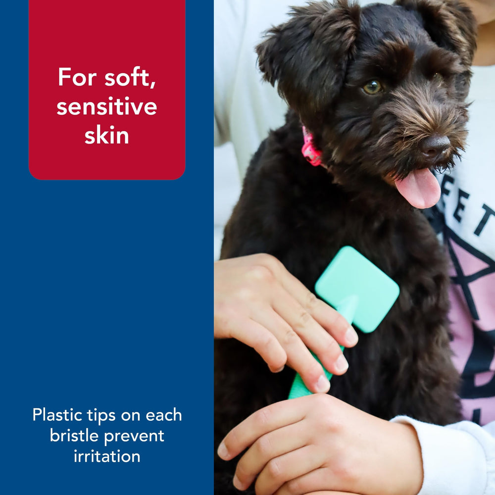 Coastal Pet Li'l Pals slicker brush ships in protective box packaging for safe delivery