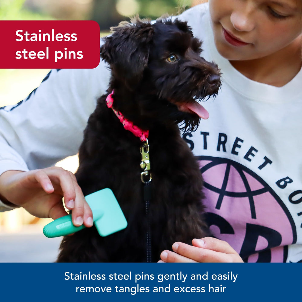 Coastal Pet Li'l Pals slicker brush in a puppy grooming session for gentle care