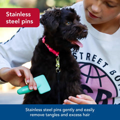 Coastal Pet Li'l Pals slicker brush in a puppy grooming session for gentle care