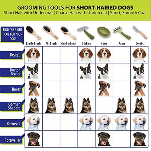 Coastal Pet Safari Comfort Grip Curry Brush ergonomic grip for comfortable grooming sessions.