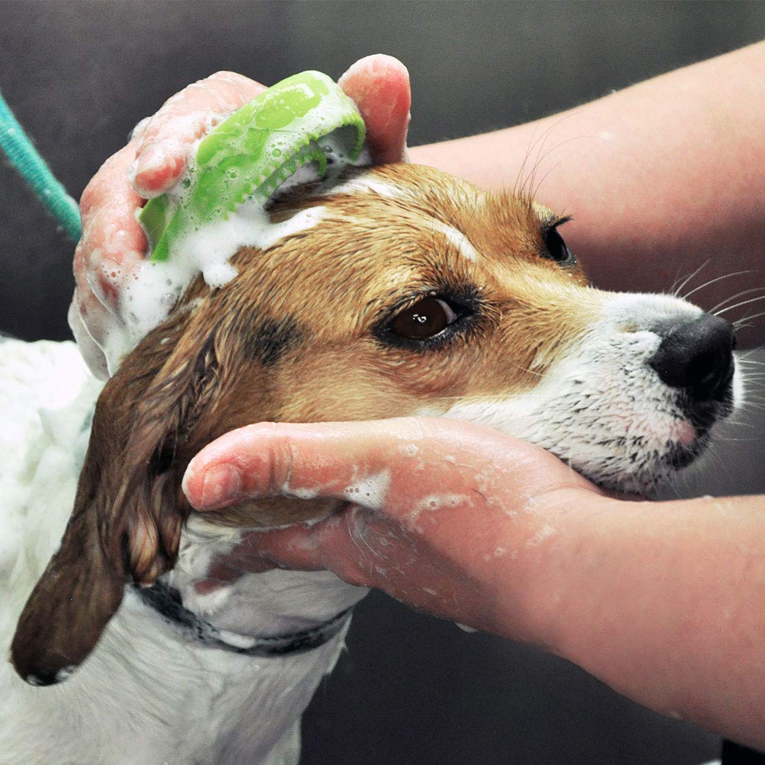 Coastal Pet Safari Comfort Grip Curry Brush in bath applying shampoo evenly.