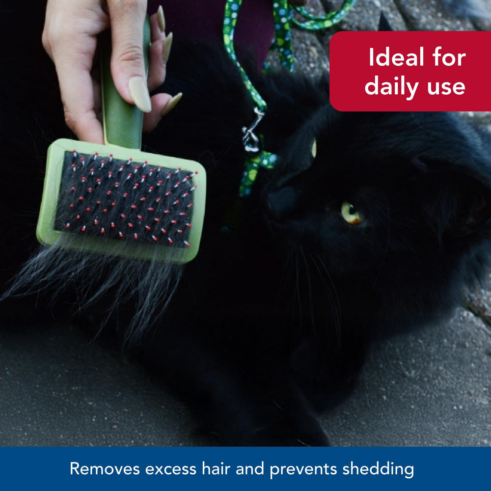 Coastal Pet Safari Complete Cat Brush no color design suitable for any grooming setup