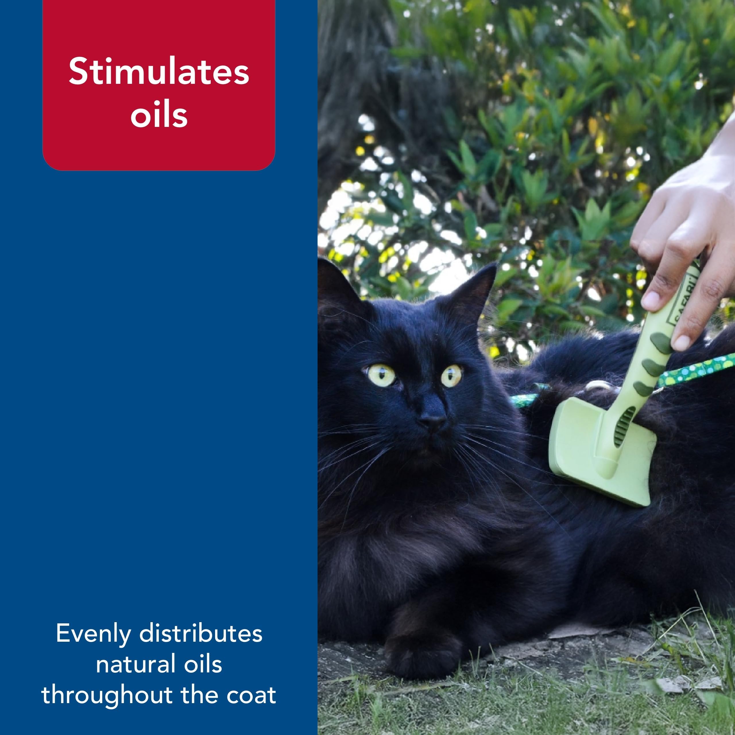 Coastal Pet Safari Complete Cat Brush ergonomic handle for easy brushing sessions