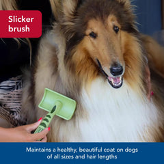 Coastal Pet Safari ergonomic handle promotes comfortable grip during grooming sessions.