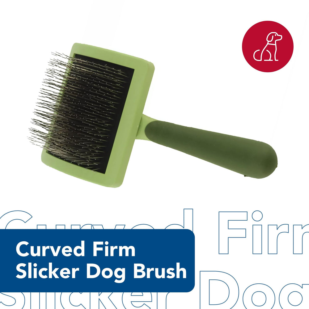 Coastal Pet Safari curved slicker brush for long-haired dogs during quick brushing sessions.
