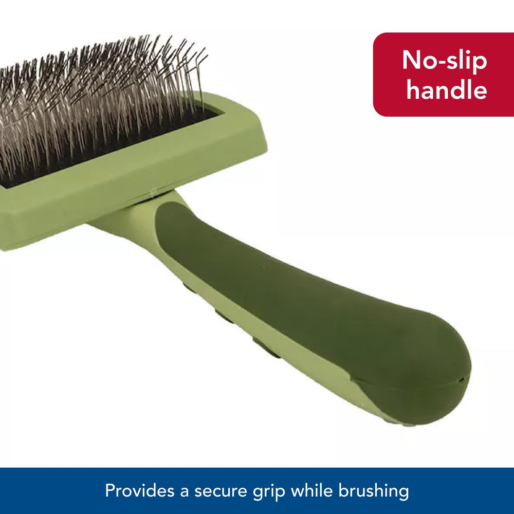 Coastal Pet Safari medium brush size suits mid-length coats for daily care.