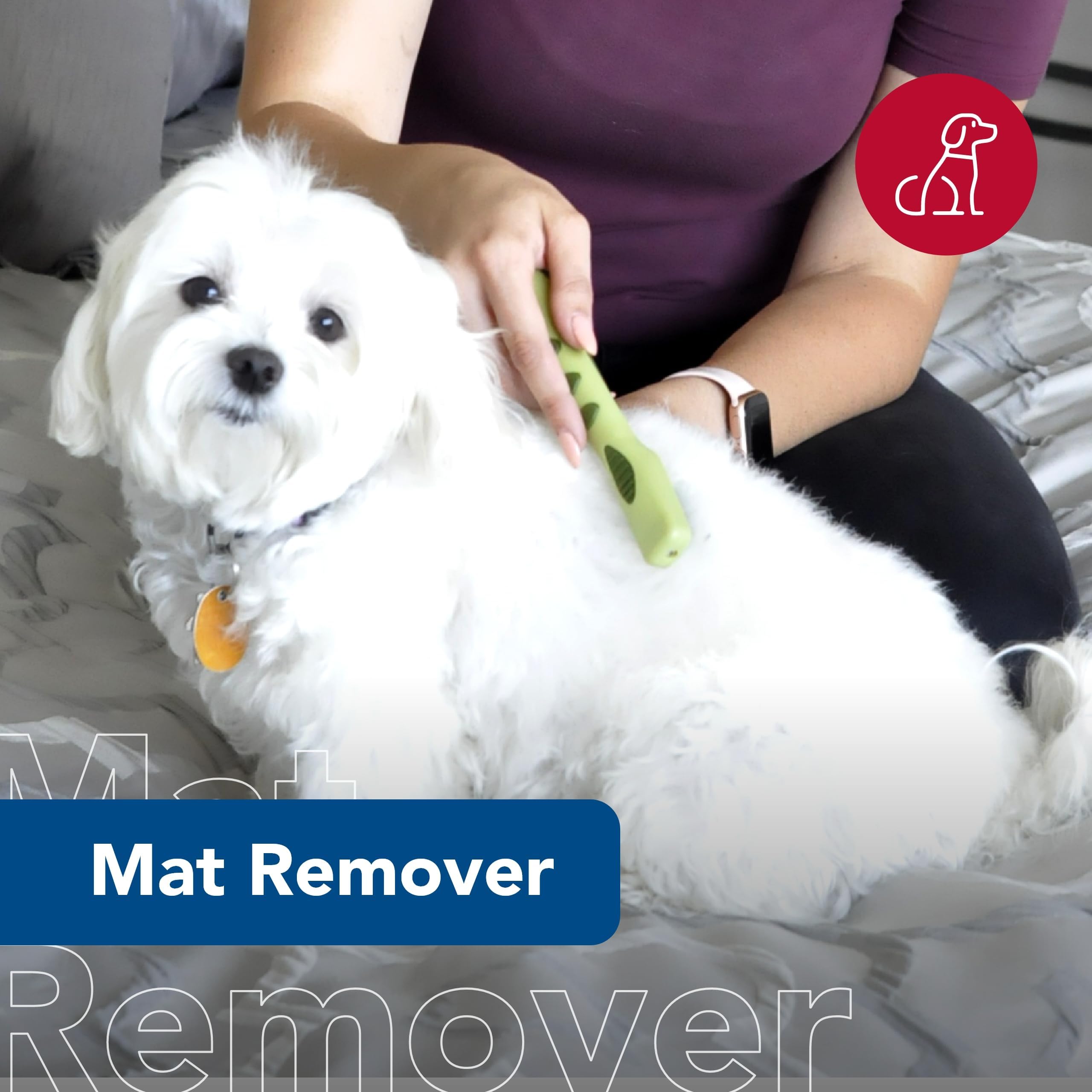 Coastal Pet Safari Dematting Comb in use on a dog's coat for detangling