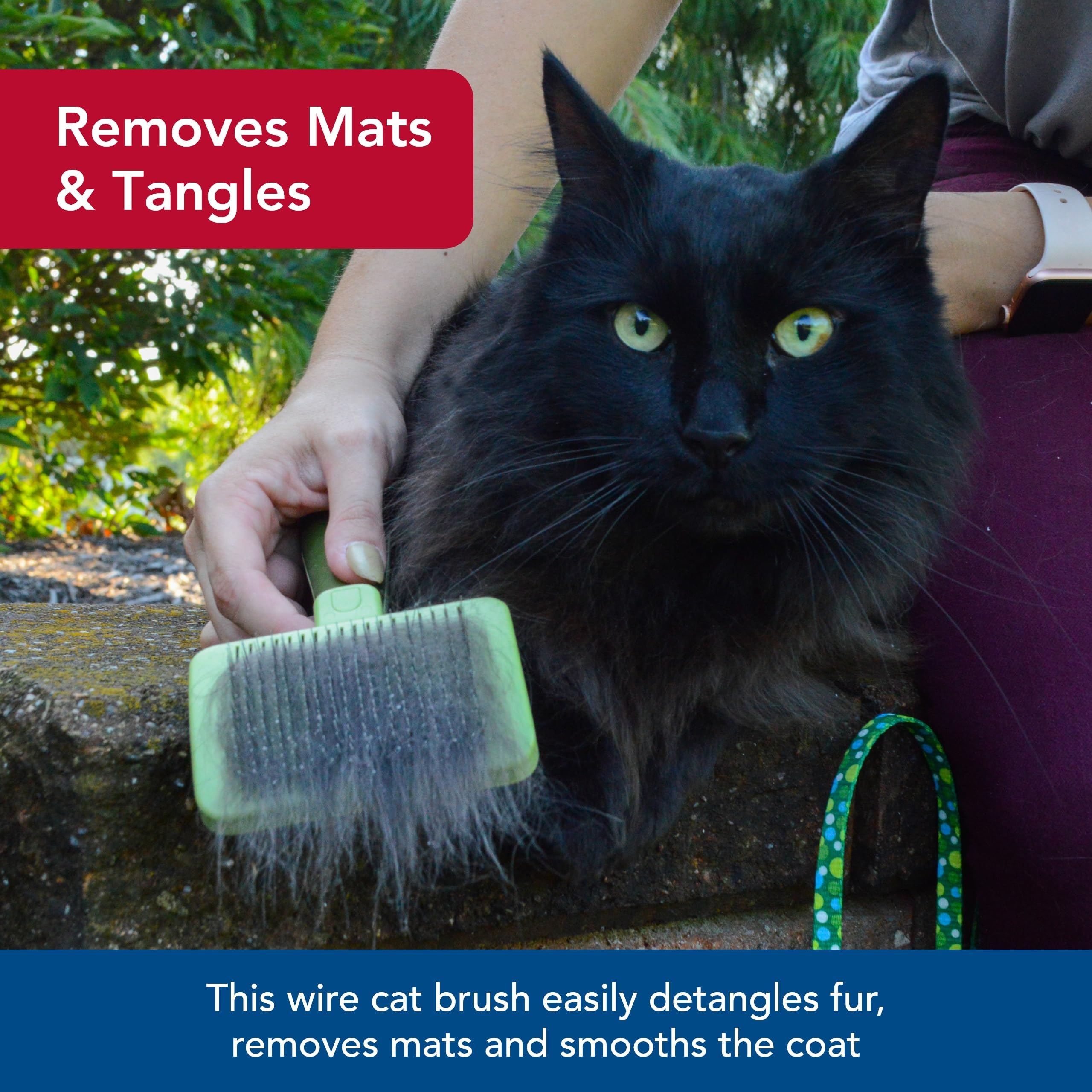 Coastal Pet Safari detangler helps remove mats during brushing.
