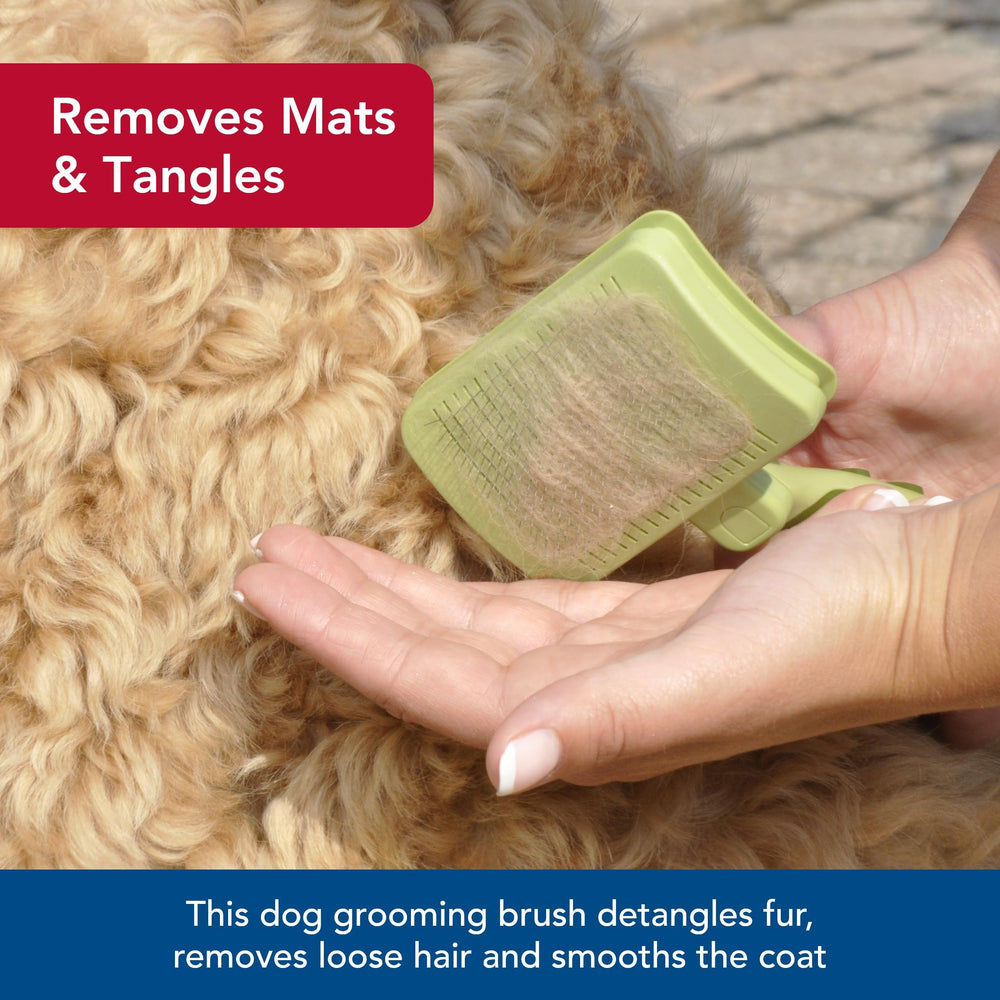 Coastal Pet Safari brush helps reduce shedding by removing loose hair during brushing sessions