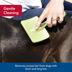 Coastal Pet Safari slicker brush detangling fur to ease grooming sessions.