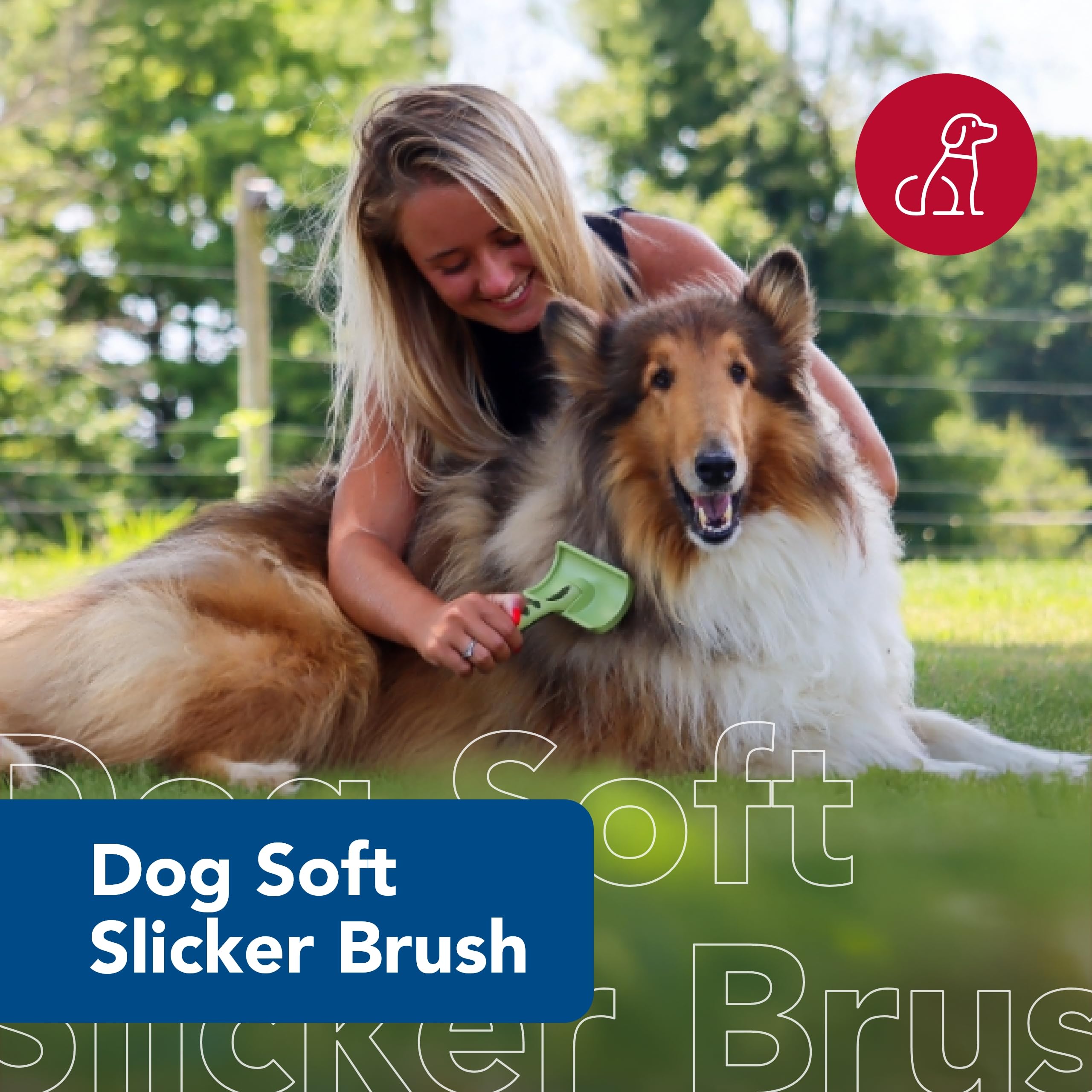 Coastal Pet Safari slicker brush loose-hair removal image reduces shedding around home.