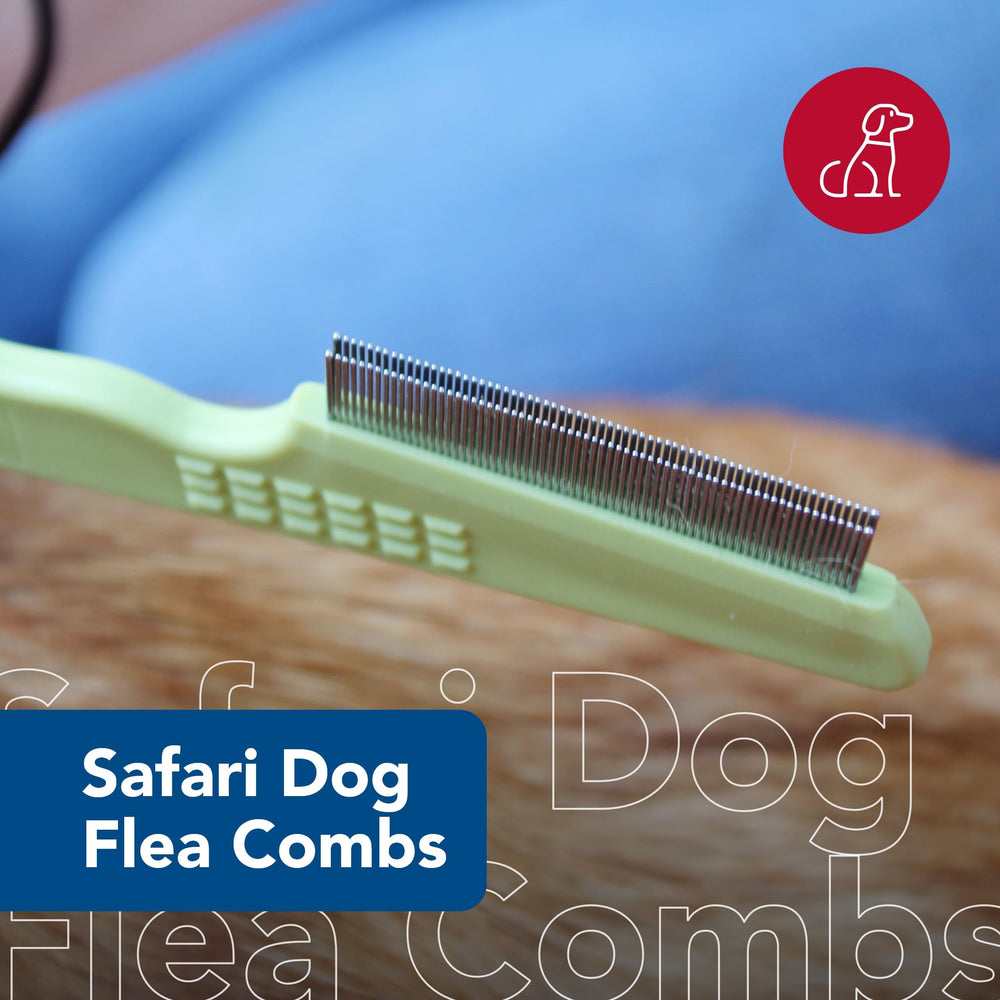 Coastal Pet Safari double row comb hair sample showing flea detection potential