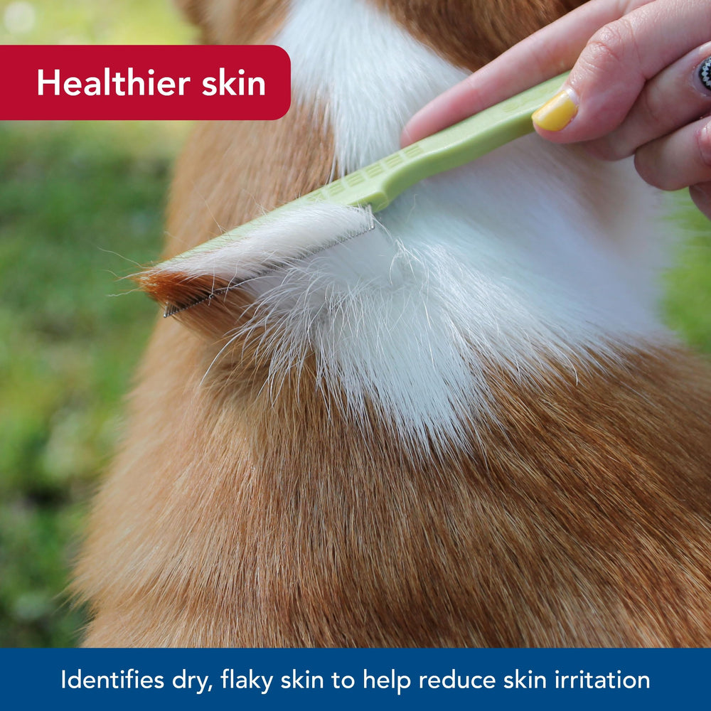 Coastal Pet Safari double row comb in use on a dog during grooming
