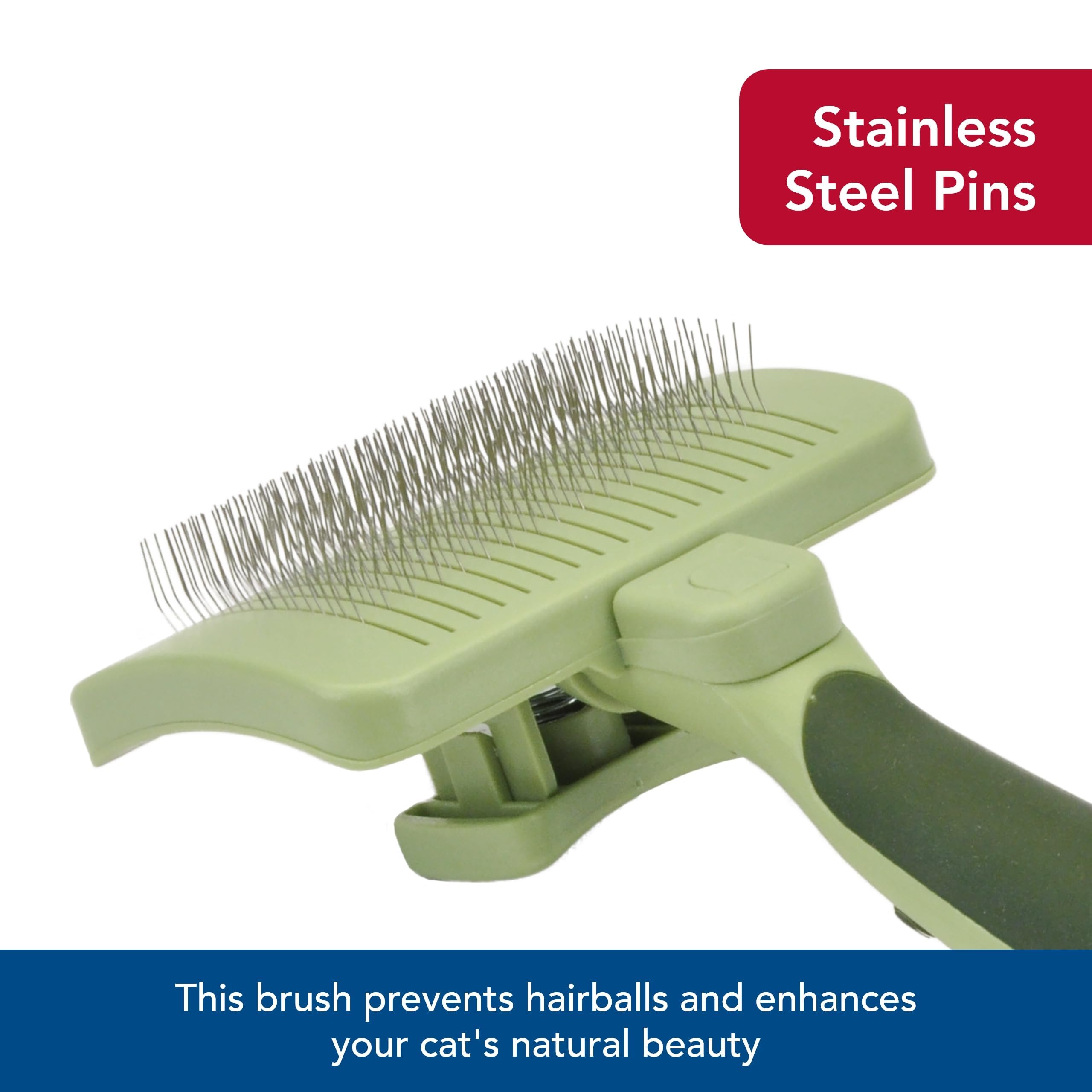 Coastal Pet Safari easy-clean design speeds post-groom cleanup.