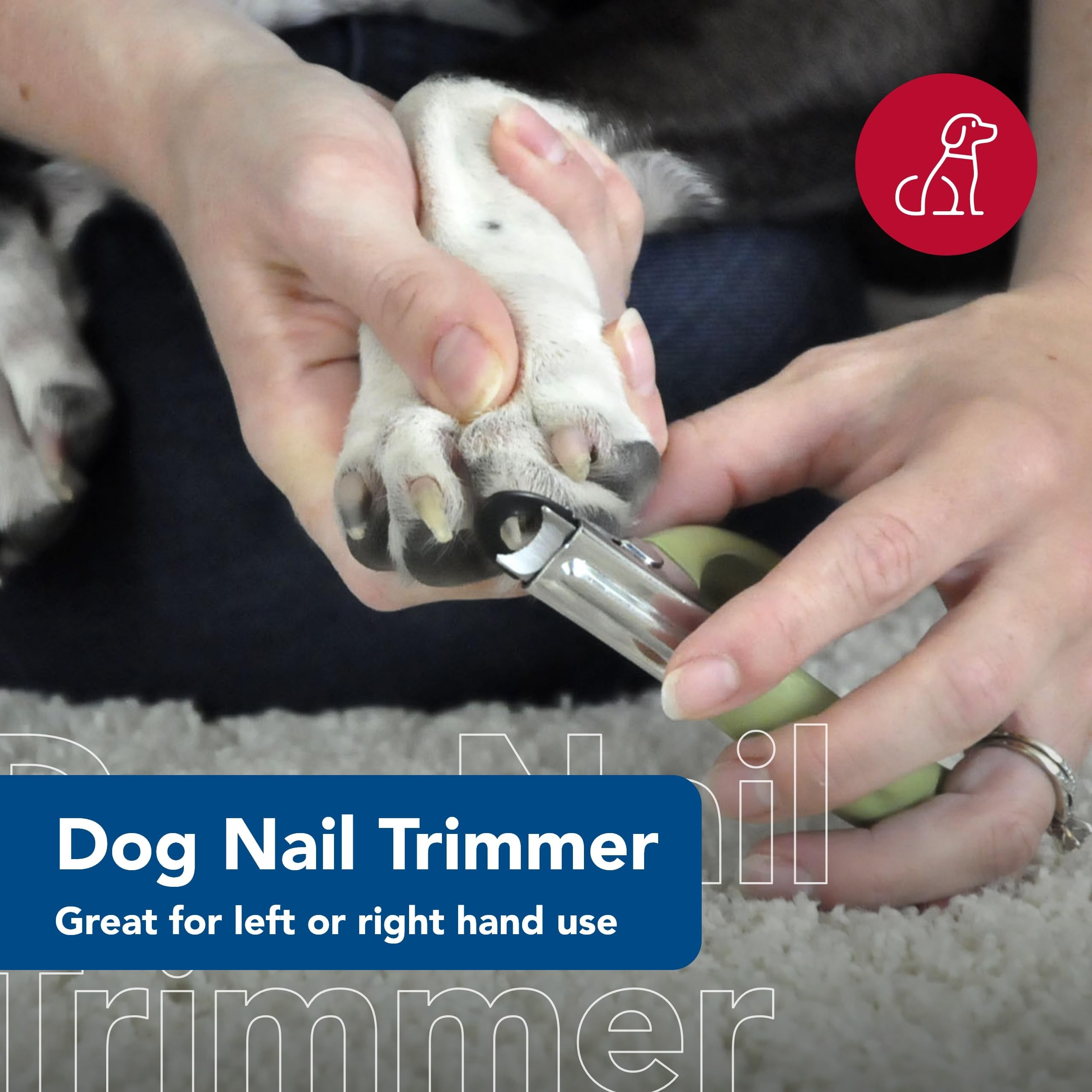 Coastal Pet Safari grip-hand demonstrates owner-friendly vinyl grip for secure handling.