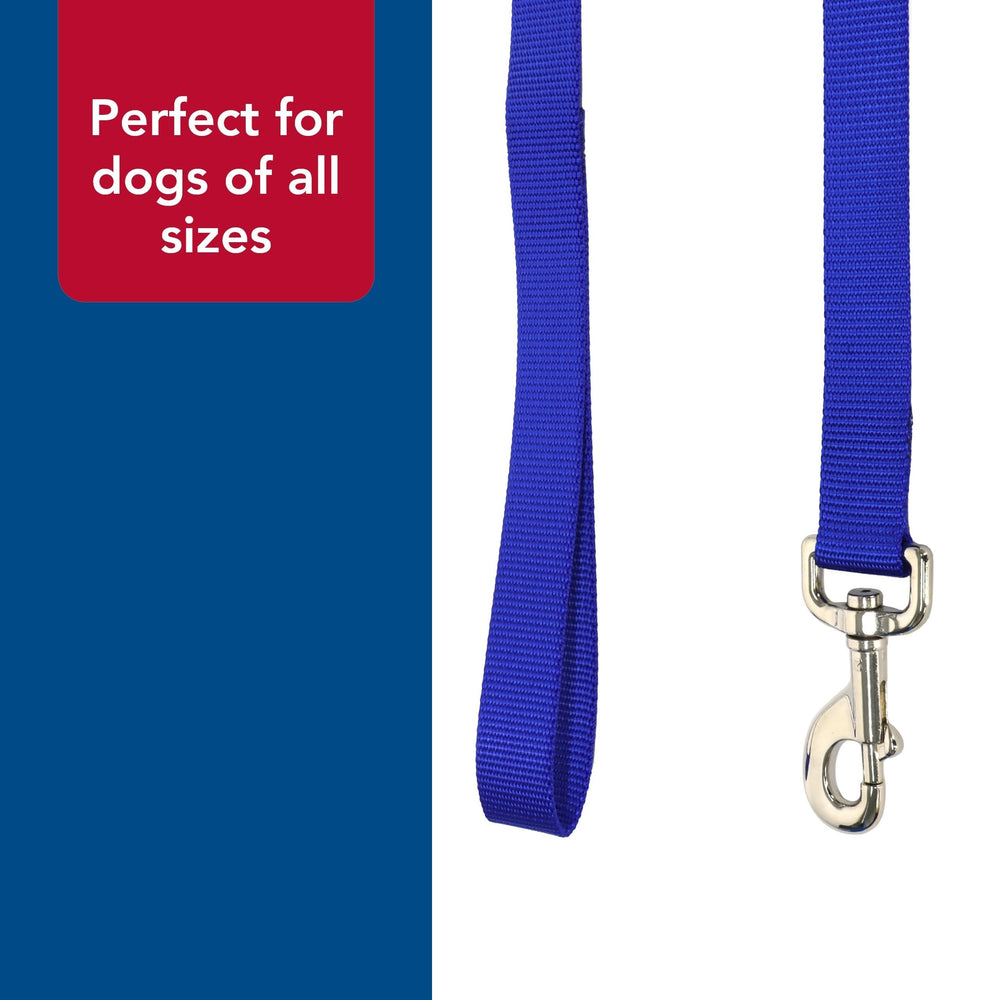 Coastal Pet Single-Ply Dog Leash teal color enhances visibility on outdoor walks