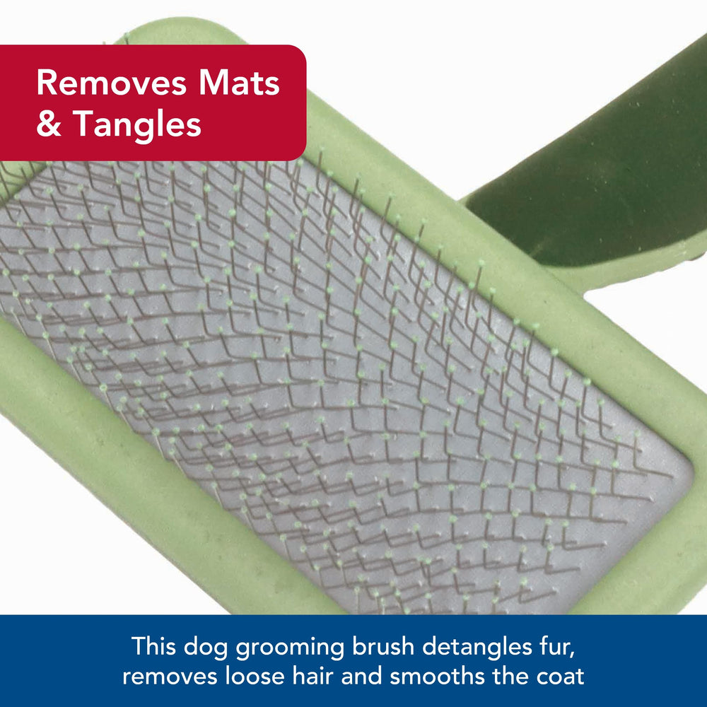 Coastal Pet Safari slicker brush for shedding helps keep fur around the home under control