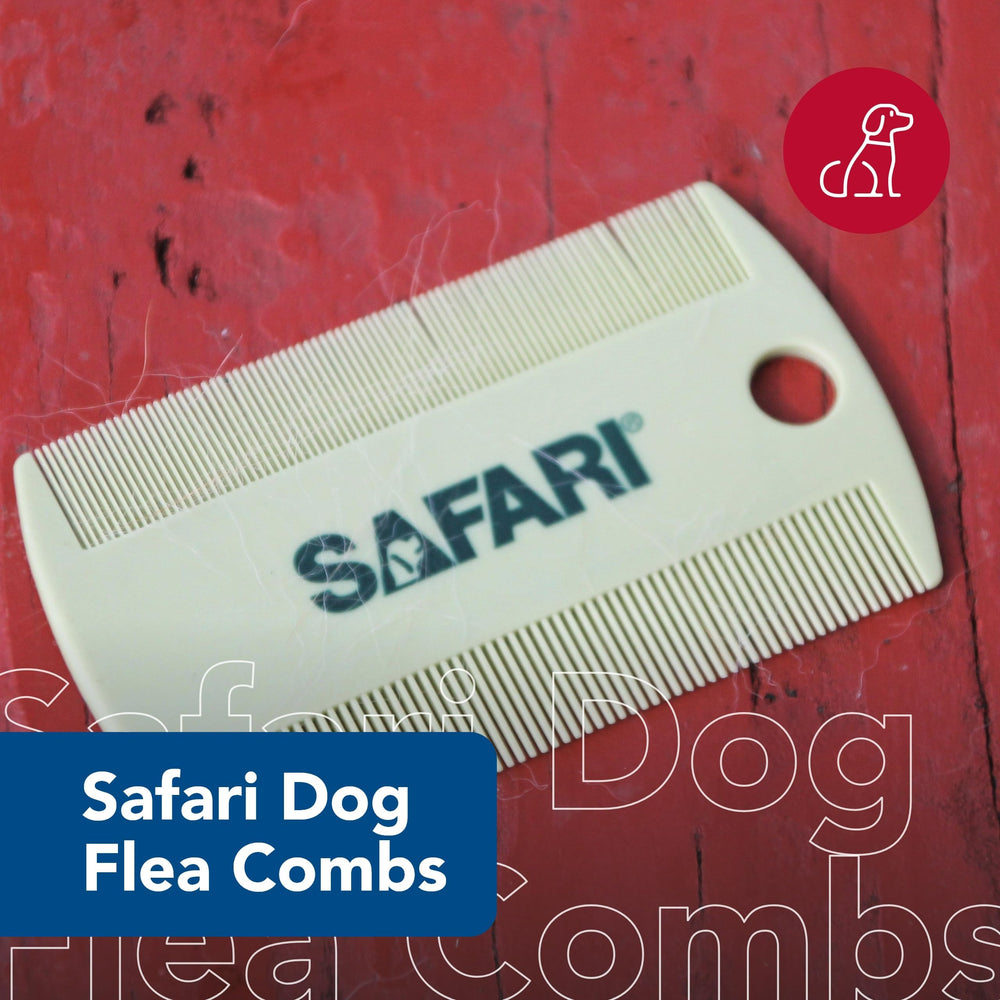 Coastal Pet Safari comb bristles close-up showing fine teeth for short-haired dogs