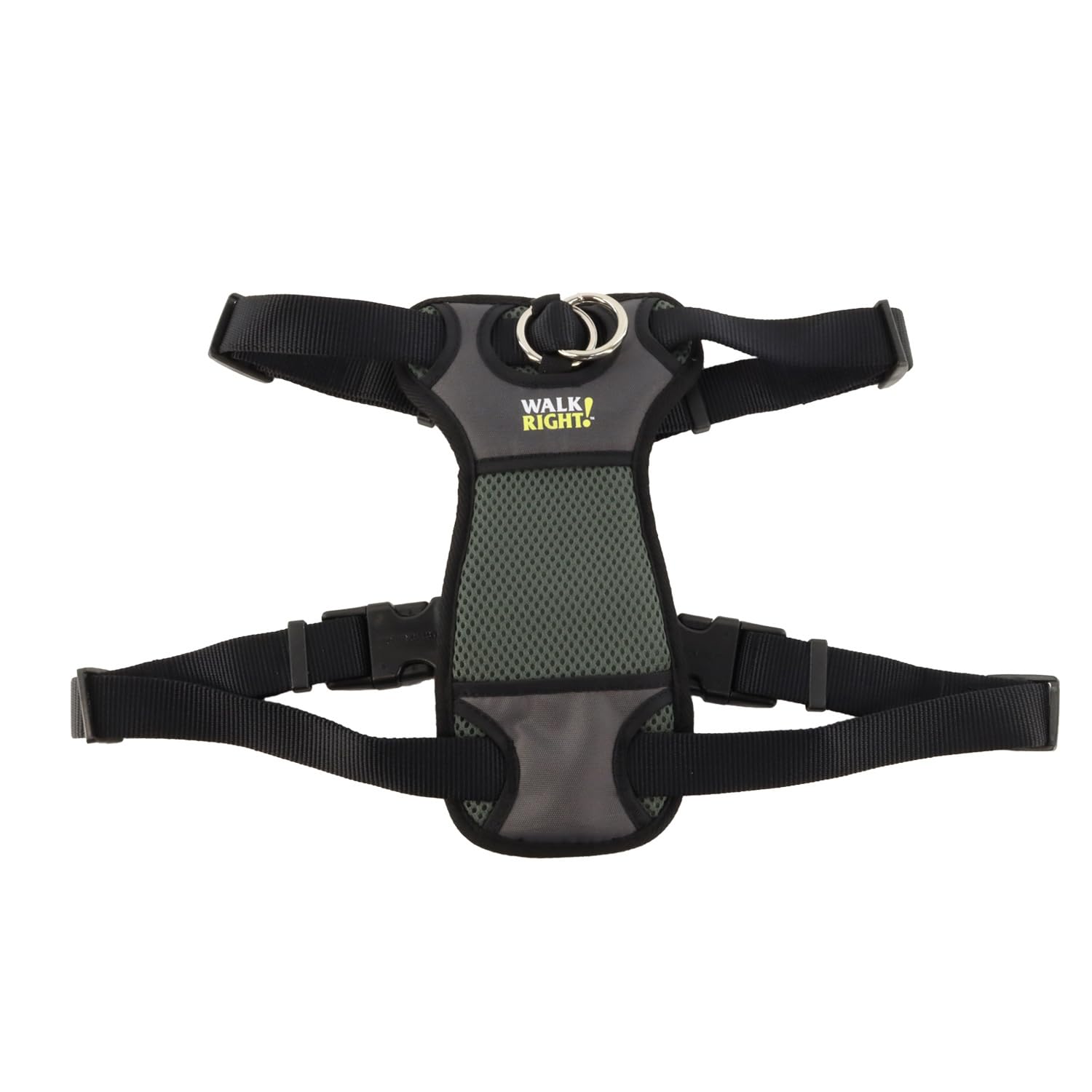 Coastal Walk Right Front-Connect padded harness on dog during a no-pull training walk