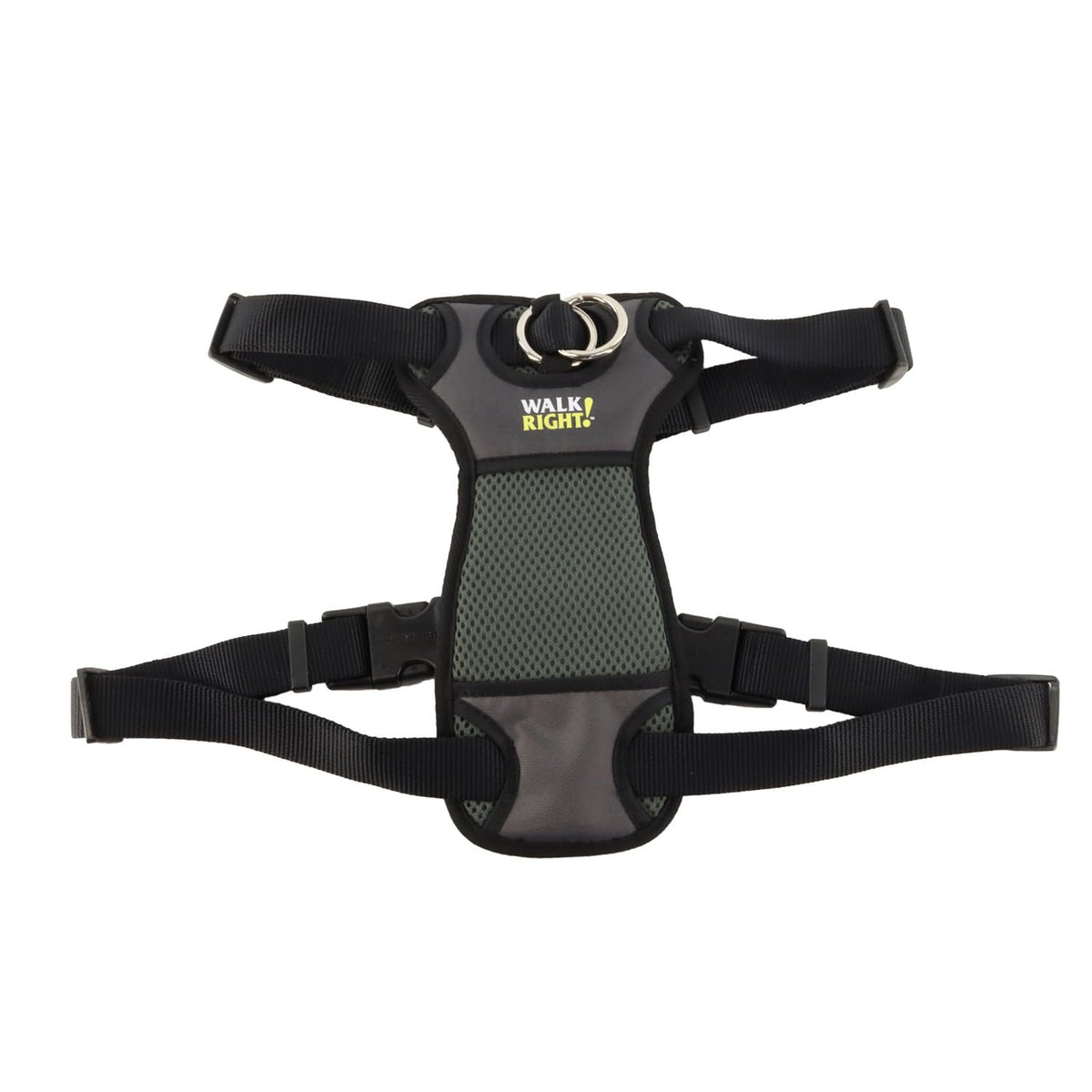Coastal Walk Right Front-Connect padded harness on dog during a no-pull training walk