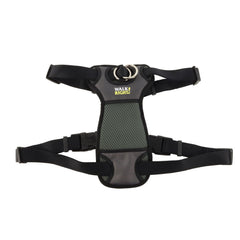 Coastal Walk Right Front-Connect padded harness on dog during a no-pull training walk