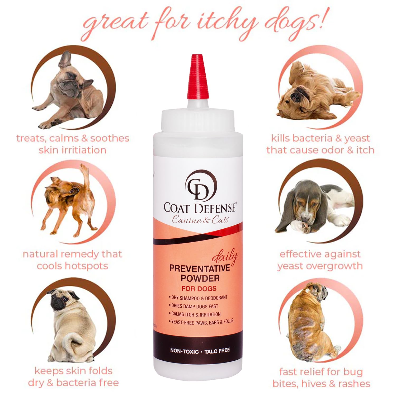 COAT DEFENSE everyday grooming routine highlighting gentle, daily coat support.