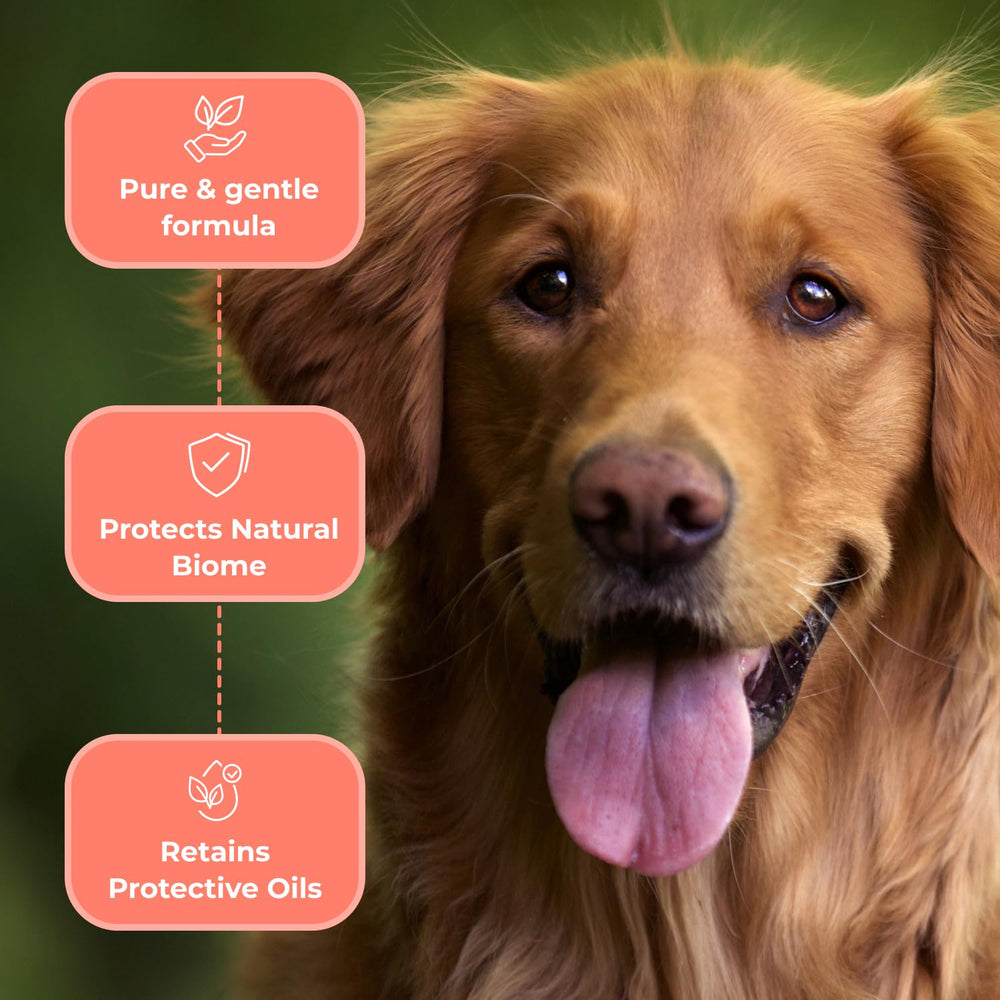 COAT DEFENSE Paw Licker Bundle supports yeast-odor control on moisture-prone paws and coats
