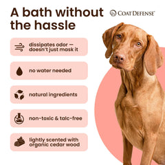 COAT DEFENSE precision-point bottle applying powder to a pet's coat for targeted care.
