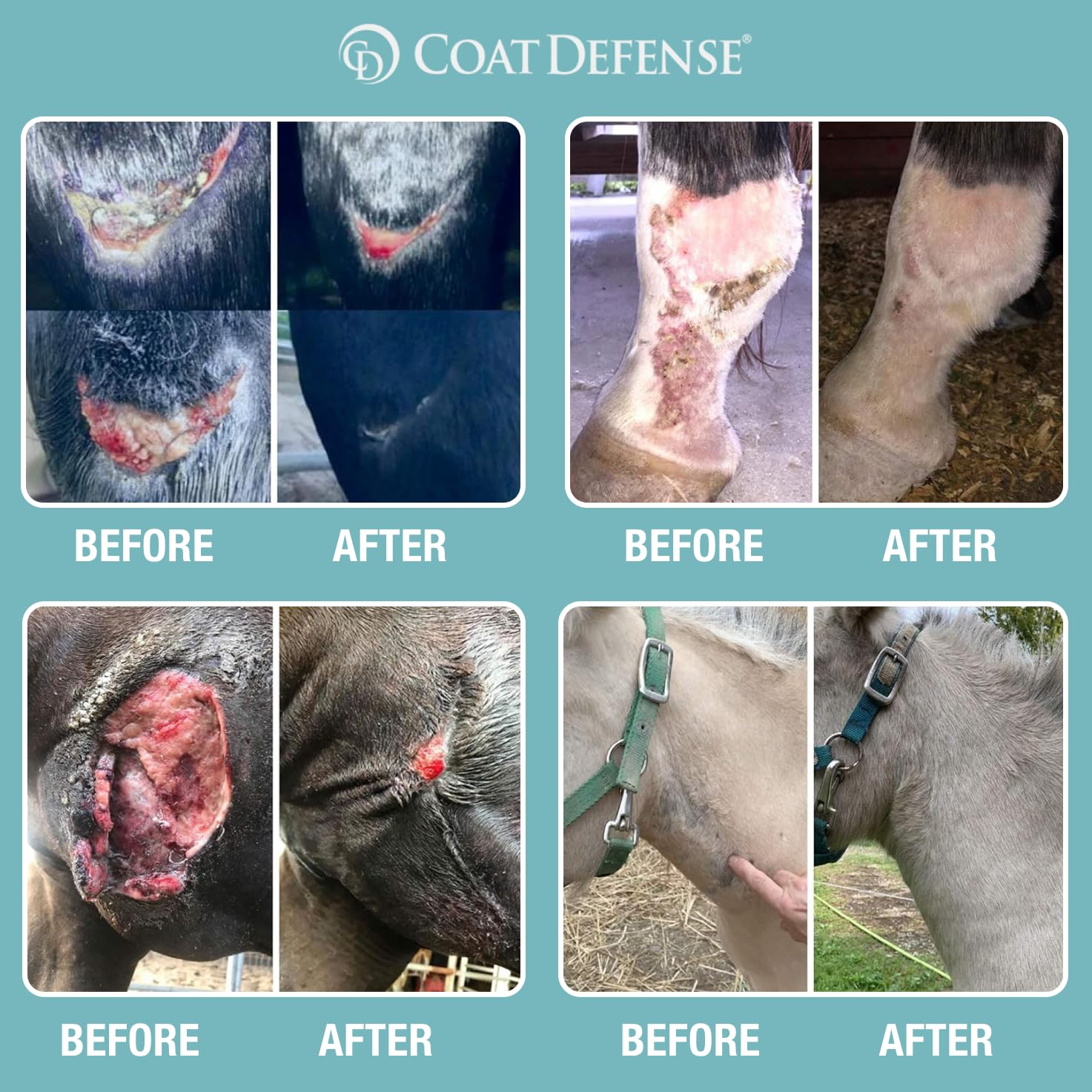 COAT DEFENSE Trouble Spot Drying Paste used after grooming to protect inflamed areas.