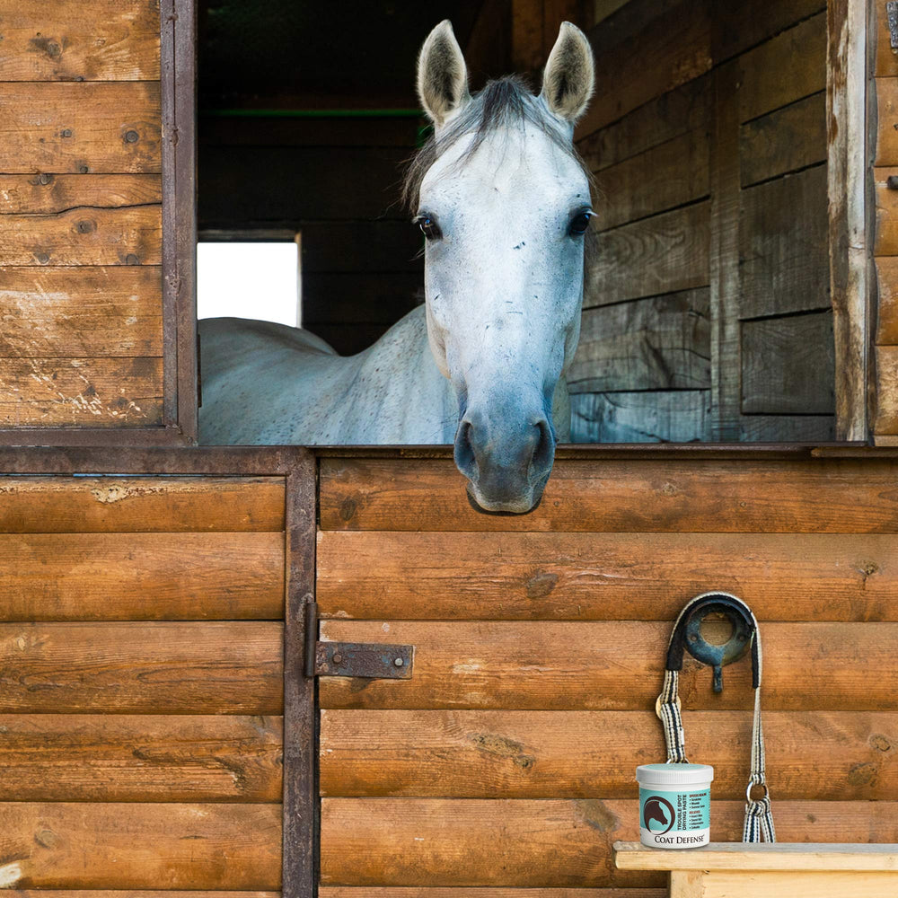 COAT DEFENSE paste may support soothing summer sores on horses.