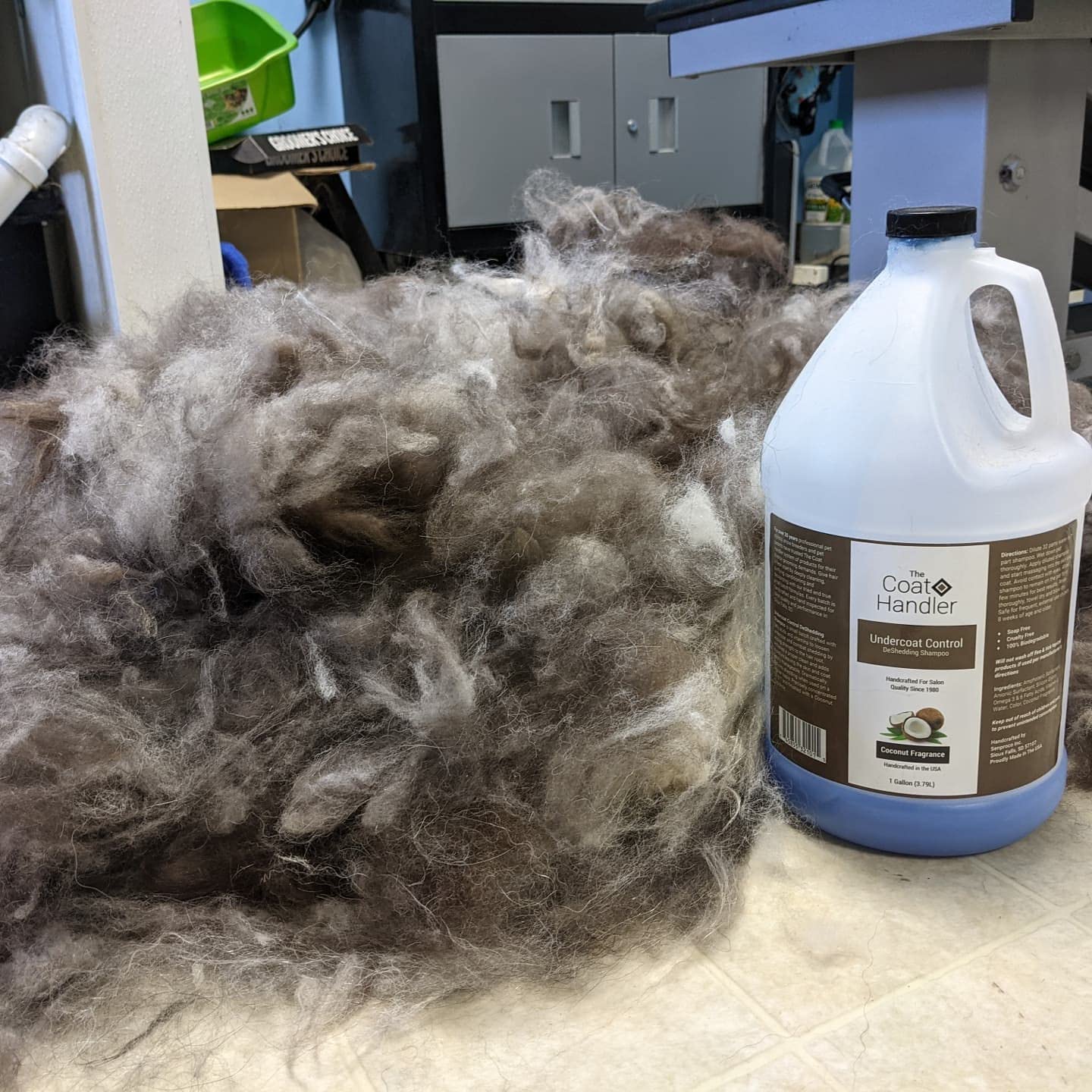 The Coat Handler cat and dog safe deshedding shampoo supports multi-pet households.