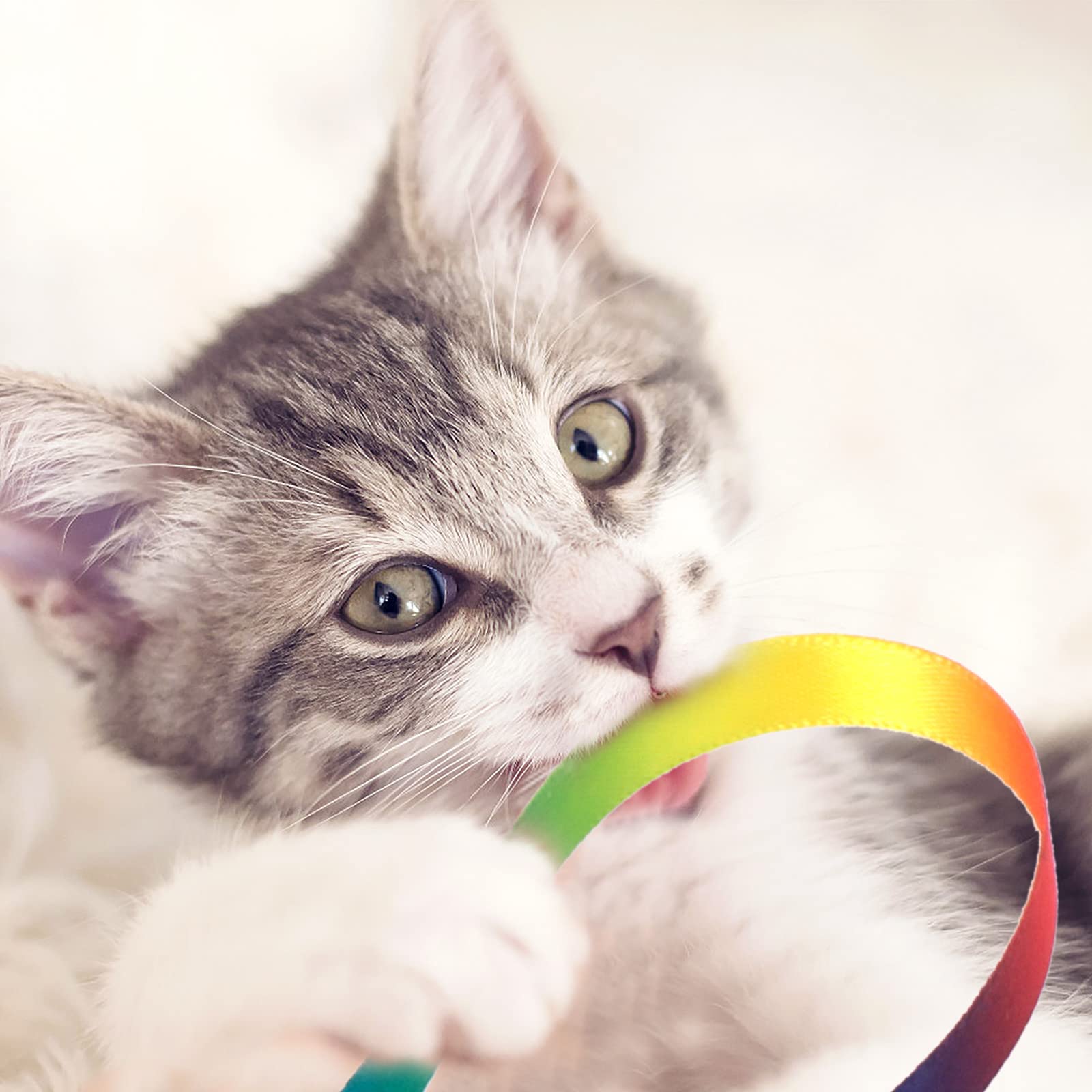 Cobee cat wand toy storage-friendly design for quick tidy up after play.