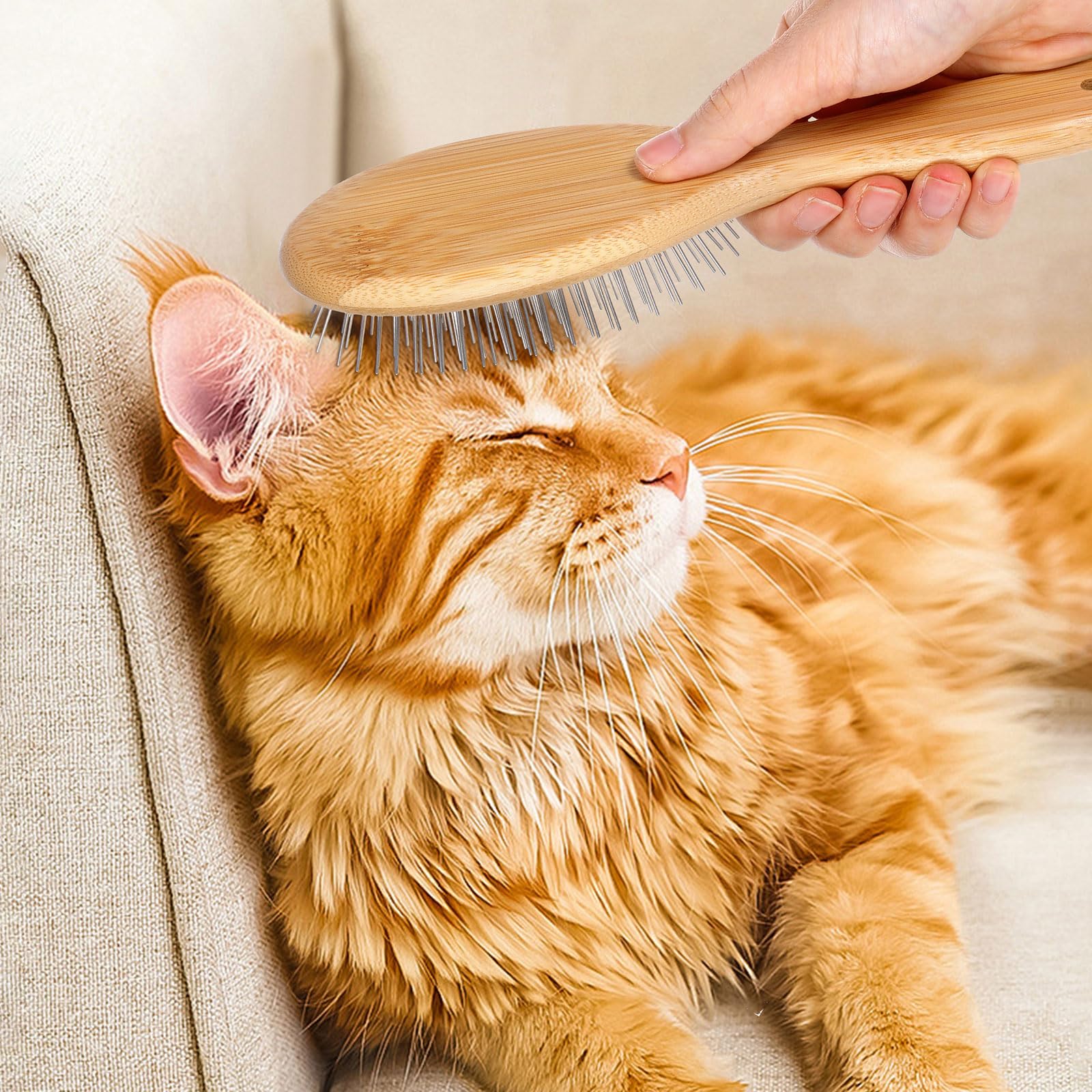 cobee lightweight brush for easy daily grooming on pets