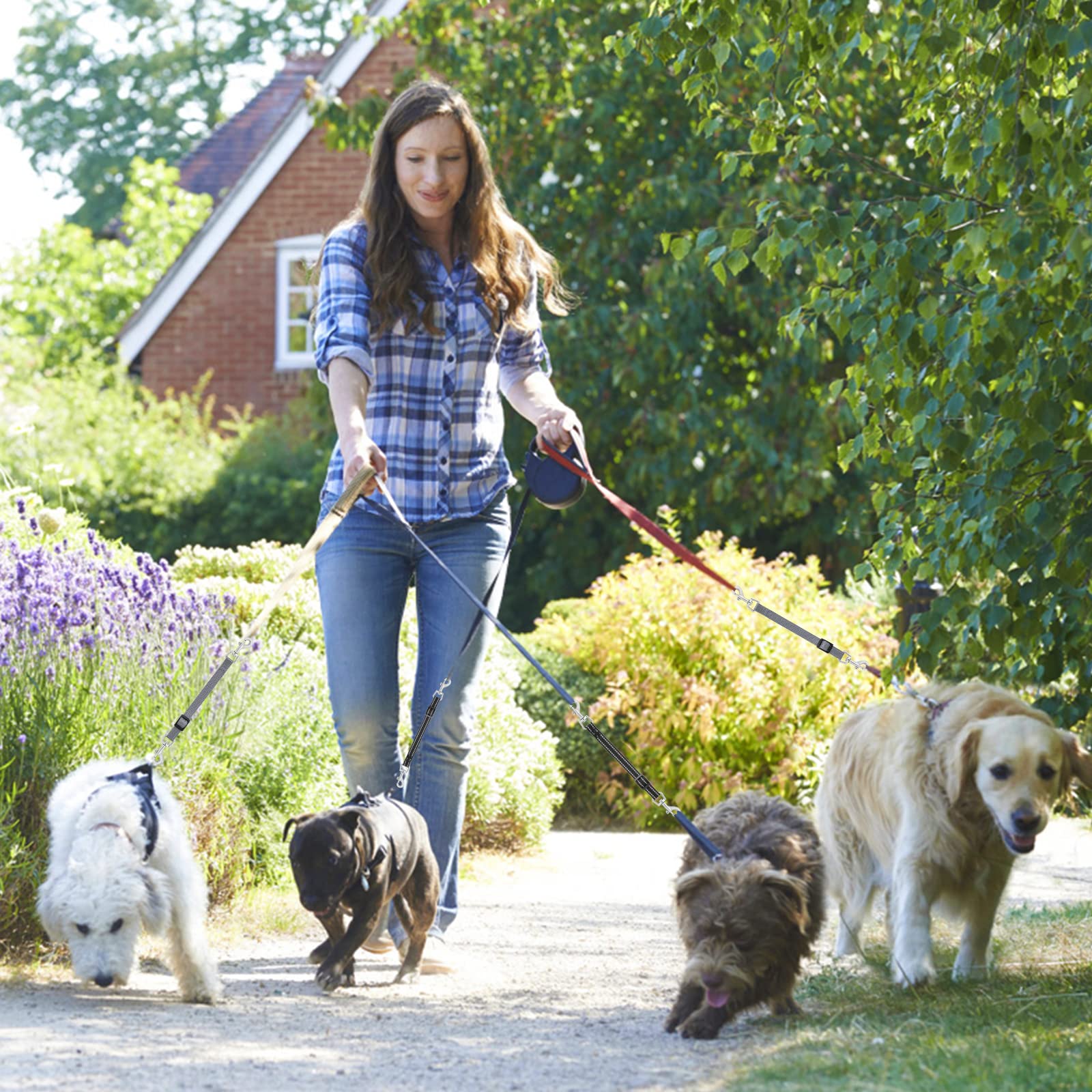 Cobee reflective strap enhances night visibility during dog walks.