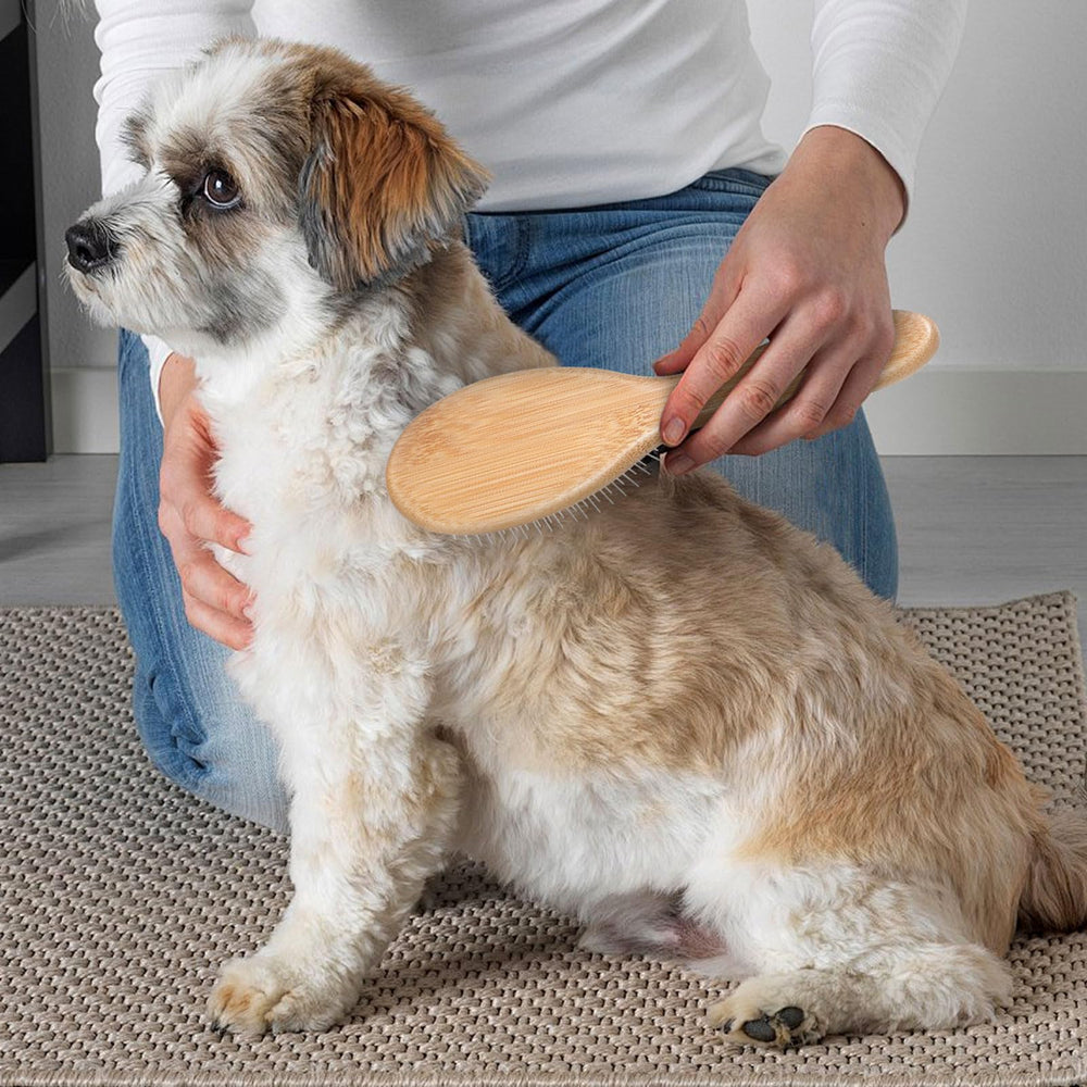 cobee wooden-handle brush helps distribute natural oils for a healthy coat