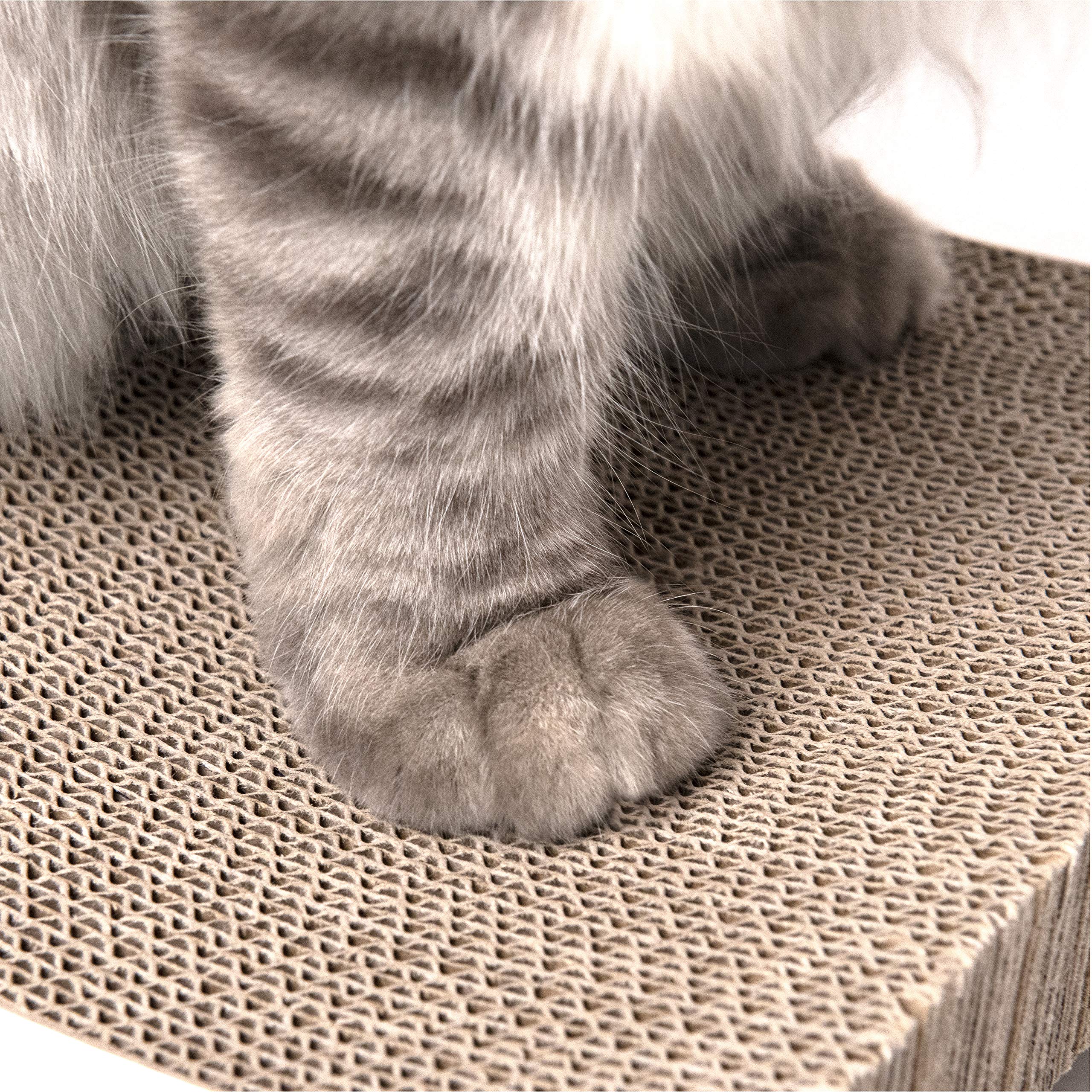 Coching cat scratcher recyclable material emphasizes eco-friendly choice