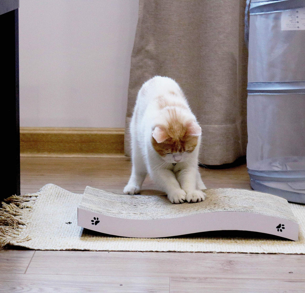 Coching cat scratcher warranty card indicates responsive support